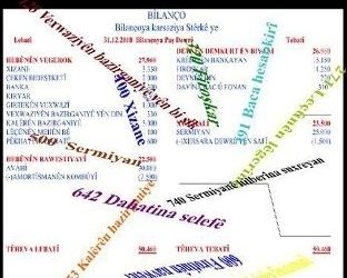 Ji Enstîtuya Kurdî Ya Amedê Xizmeteke Watedar