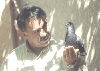 Öcalan Meclisi Göreve Çağırdı