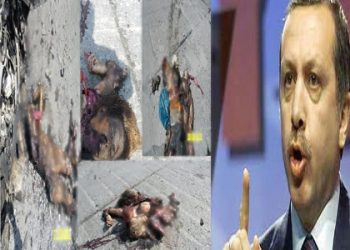 Kandil’e Tazminat!