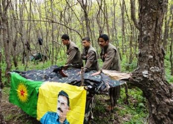 10 HPG gerillasını sahiplenme çağrısı