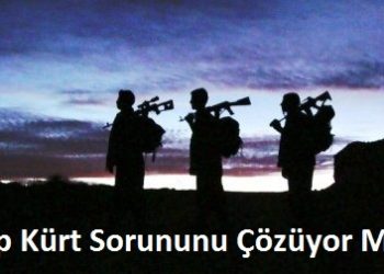 Dağda ‘İmralı Süreci’ ve ‘Kandil’