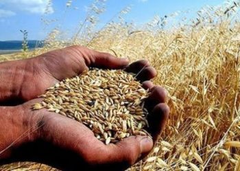 SINIFLI TEKEL YAPIYA KARŞI ÖZ-EKONOMİ YAPISI (1)