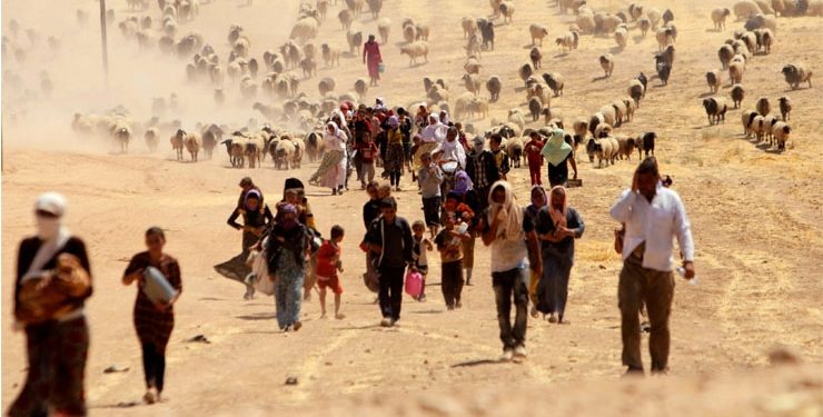 Şengal’i Şengalliler yönetmeli