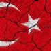 Özel Devlet , Genel Devlet &amp  Beni Silahlarınız Değil Ama Salaklığınız Öldürecek !