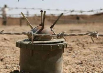 Li Efrînê 2 Zarokên Ji Çeteyan Direviyan Pêl Mayinê Kirin