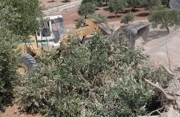 Li Cindirisê Ji Bo Riyeke Leşkerî Gelek Xanî û Dar hatin rakirin