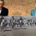 ERDOĞAN FAŞİZMİNİN ABDÜLHAMİT SİMGESİ – 2