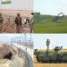 Pêngav Bi Pêngav Hewildanên Dagirkirina Xaka Kurdistanê