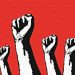 İnsanlığın Kurtuluşu Sosyalizm ve Demokratik Ulusçuluktadır
